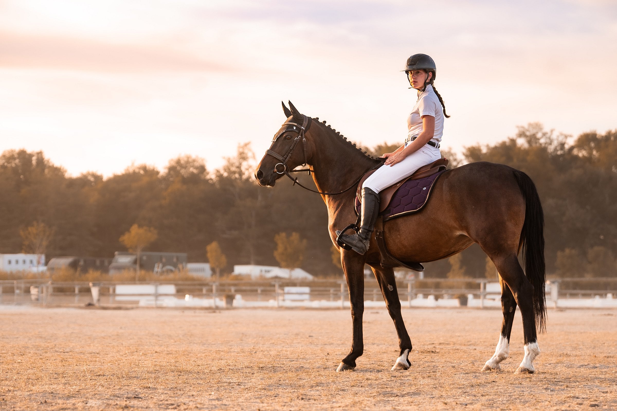 Cavalière sur un cheval bai en carrière au couchant, tapis de selle aubergine