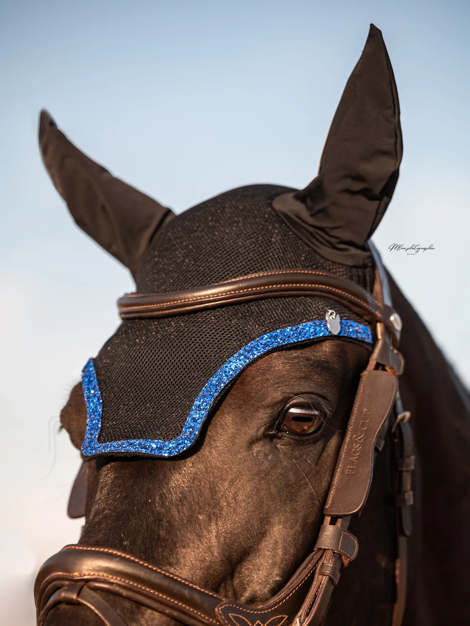 Tête d'un cheval bai brun coiffé d'un bonnet noir bordé de paillettes bleues