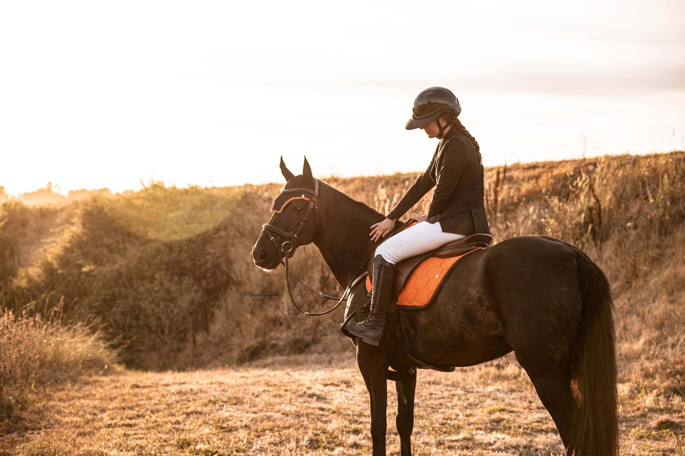 Cavalière sur un cheval bai dans un champ doré, tapis de selle orange