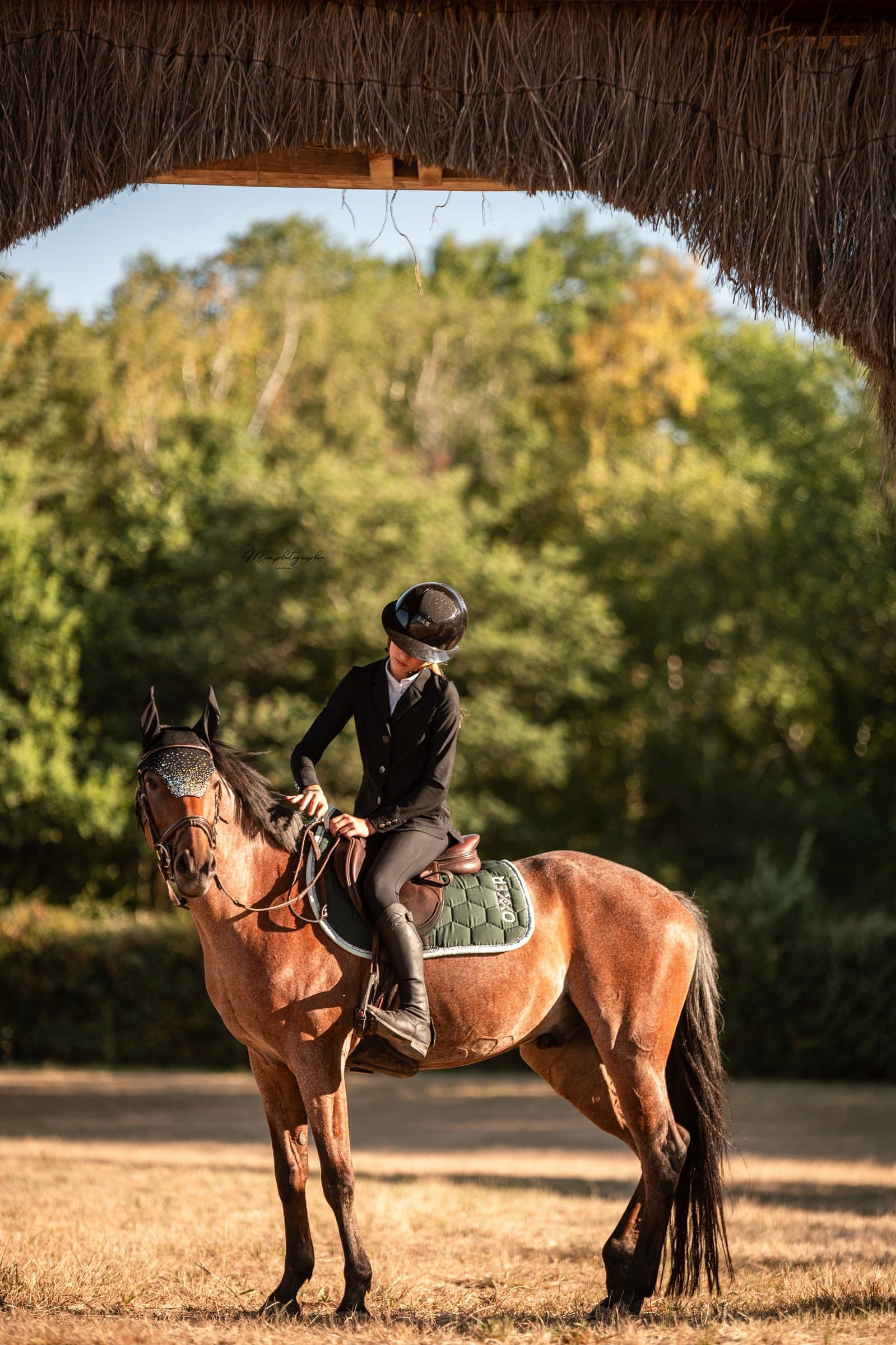 Cavalière en selle sur un cheval bai à l'ombre d'un abri, tapis de selle vert sapin