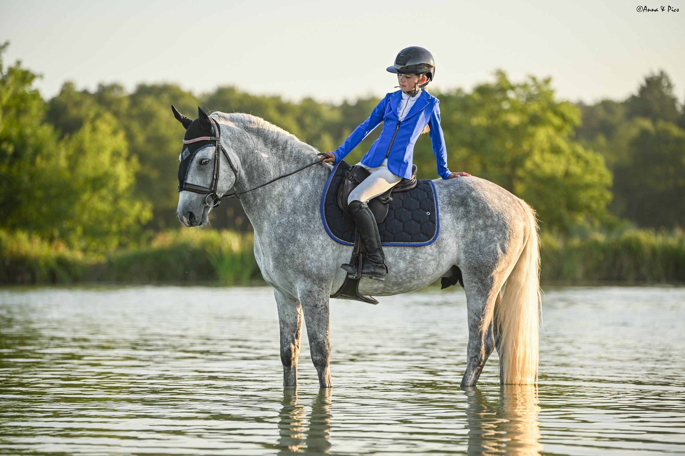 Cavalière en veste bleue sur un cheval gris pommelé dans l'eau, tapis de selle marine