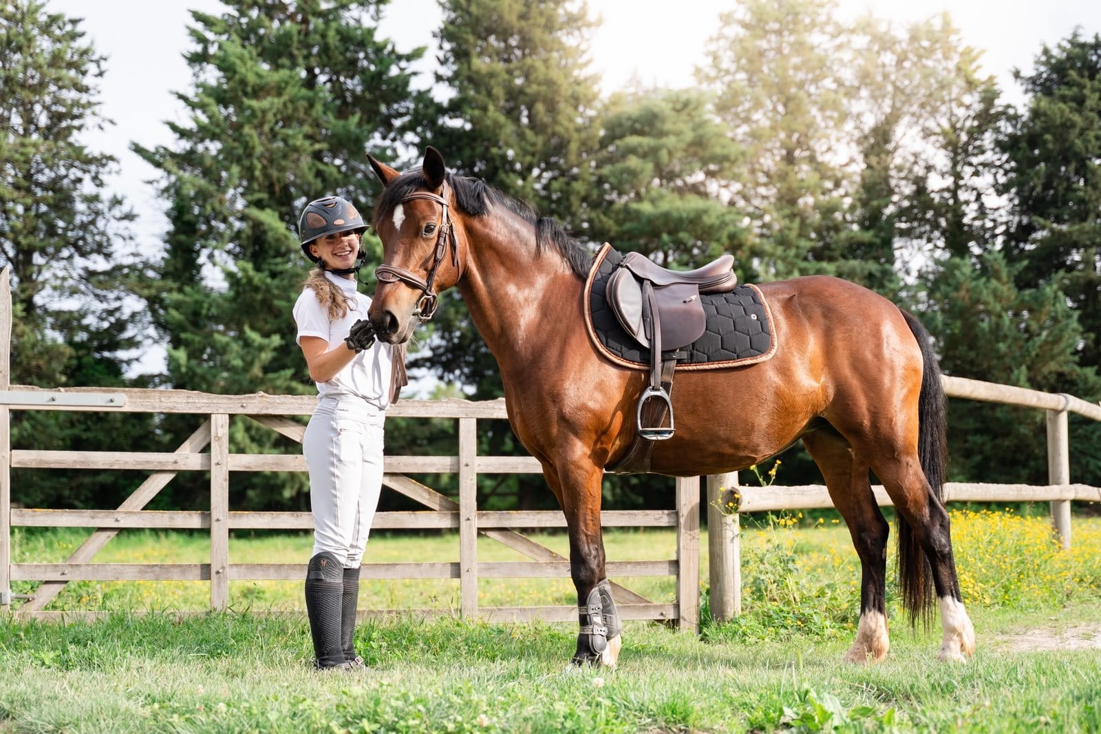 Cavalière debout près d'un cheval bai en prairie, tapis de selle noir