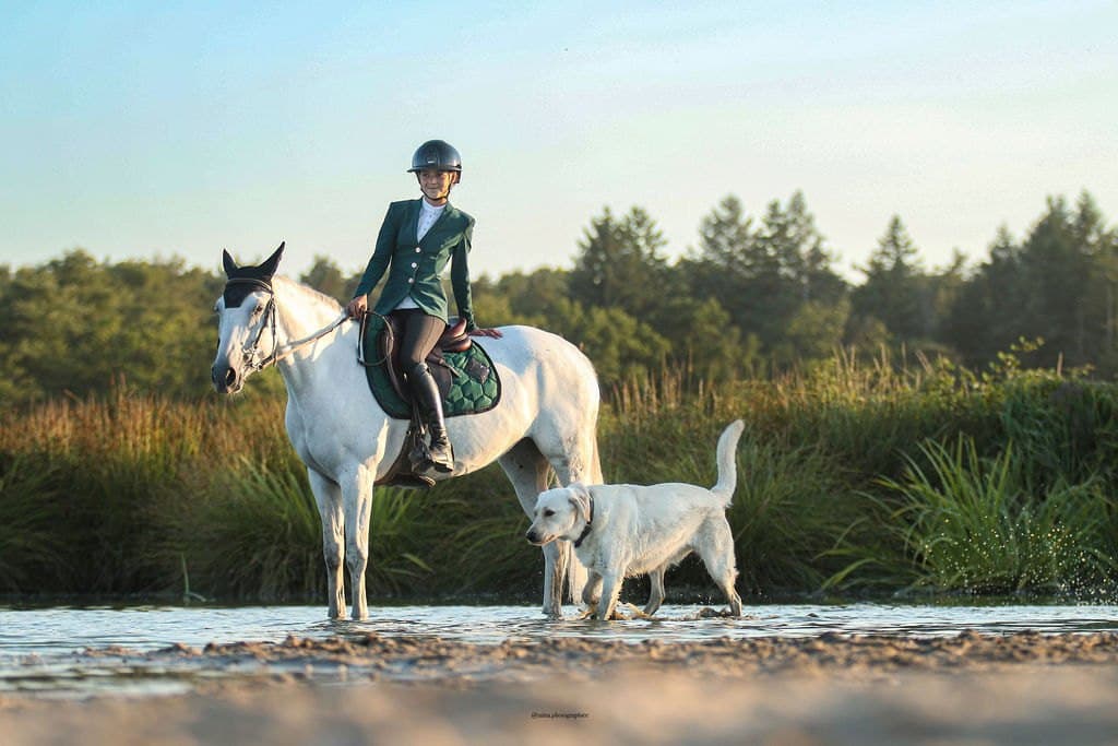 Cavalière sur un cheval gris au bord de l'eau, tapis de selle vert sapin, chien blanc à côté