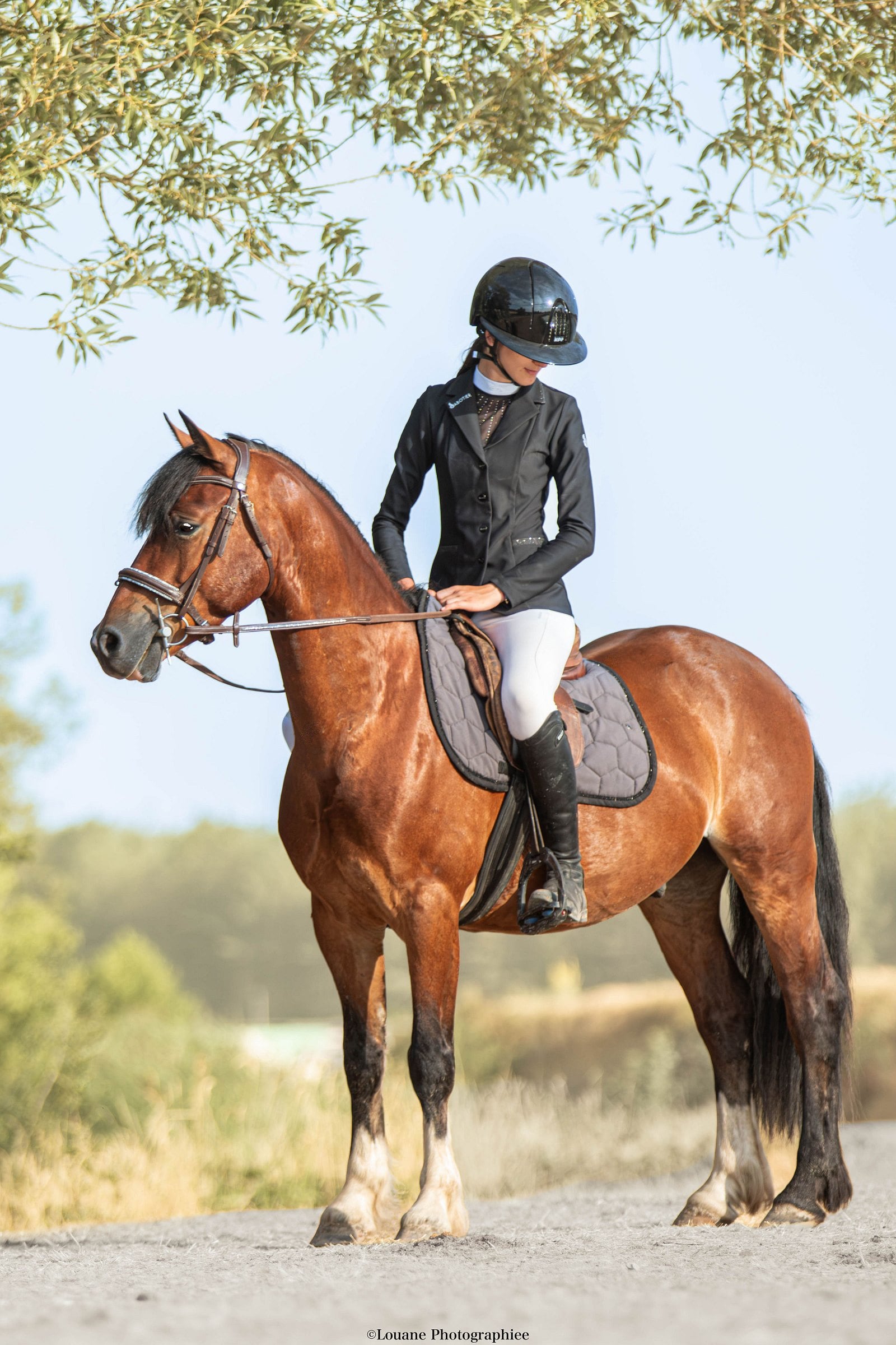 Cavalière en selle sur un poney bai en extérieur, tapis de selle gris anthracite