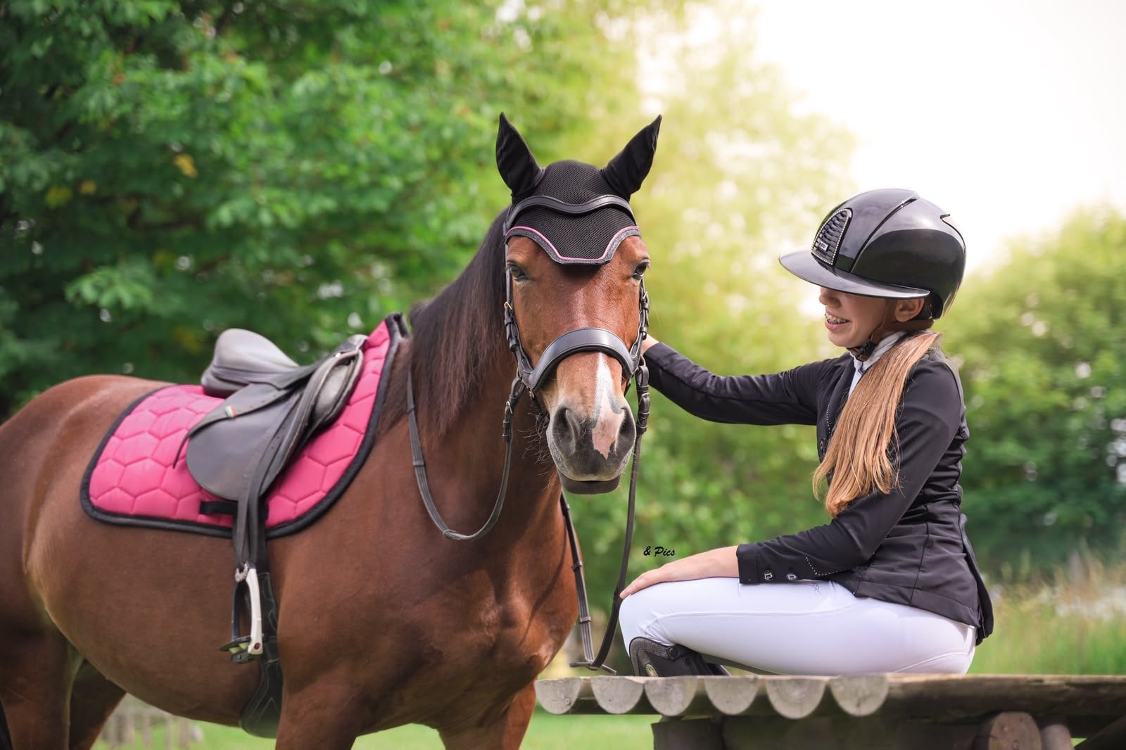 Cheval bai sellé en prairie, tapis de selle rose fuchsia, cavalière assise à côté