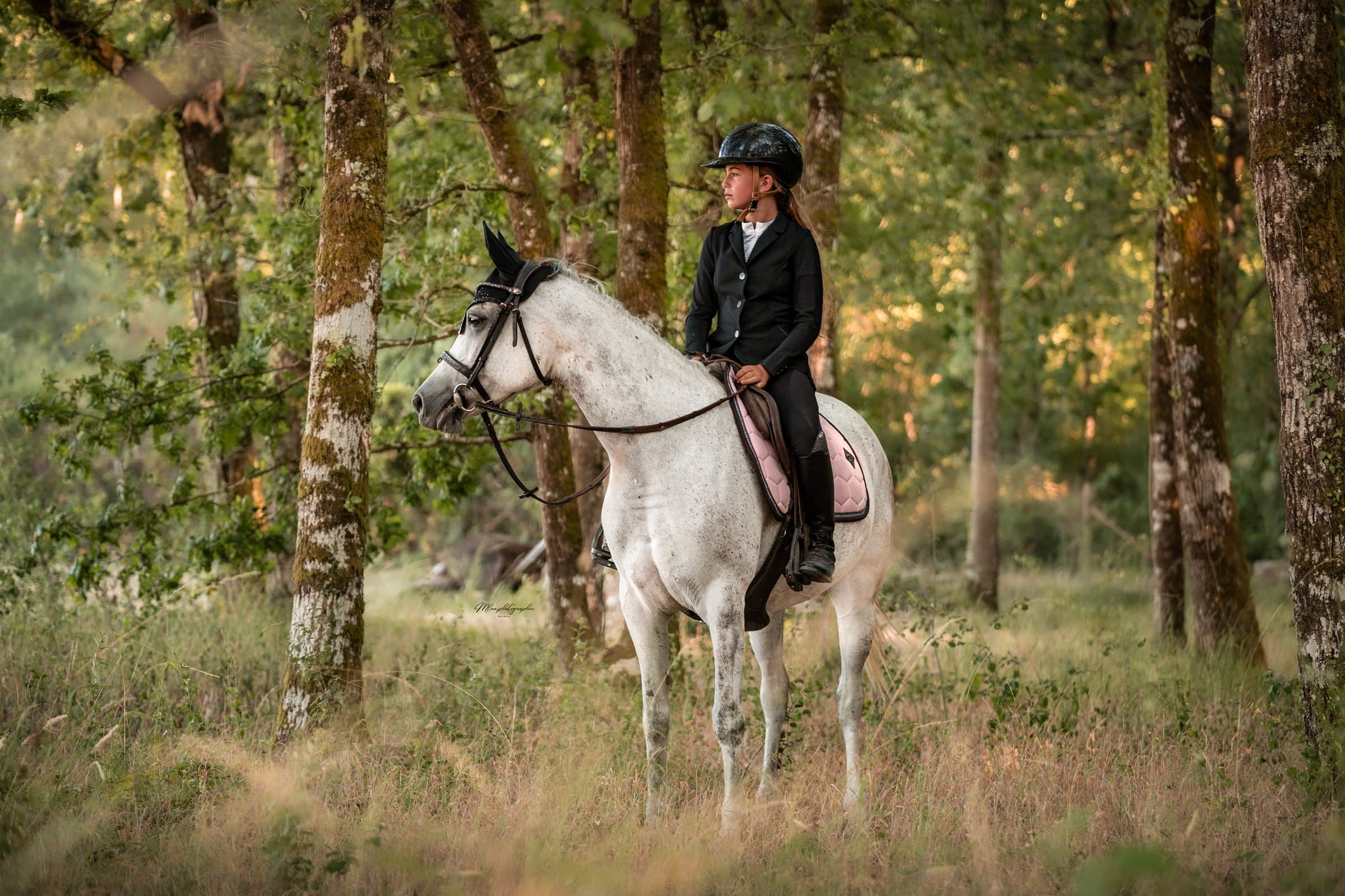 Cavalière sur un cheval gris en sous-bois, tapis de selle rose pâle