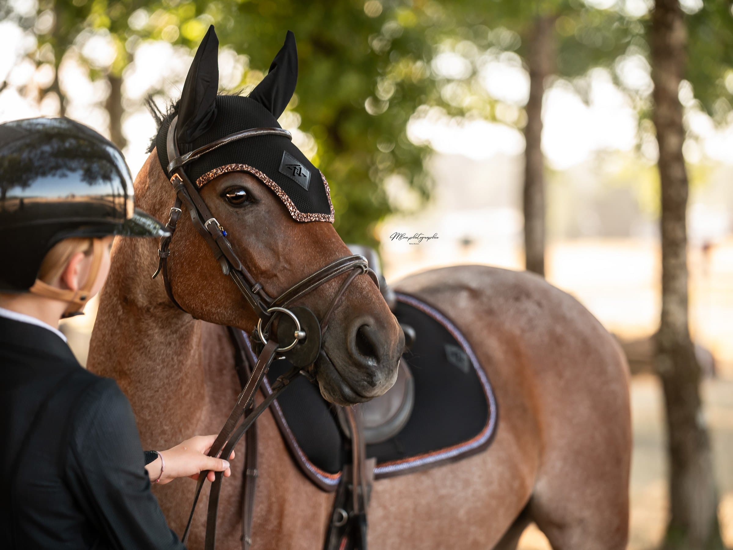 Tête d'un cheval bai rouan portant un bonnet noir, cavalier de dos