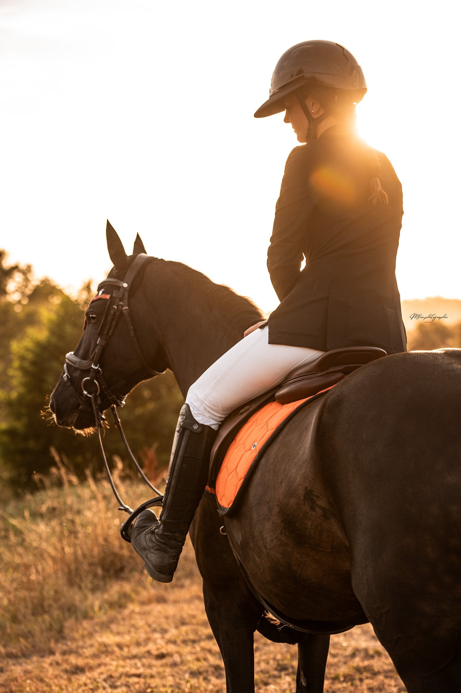 Cavalière à contre-jour sur un cheval bai au couchant, tapis de selle orange