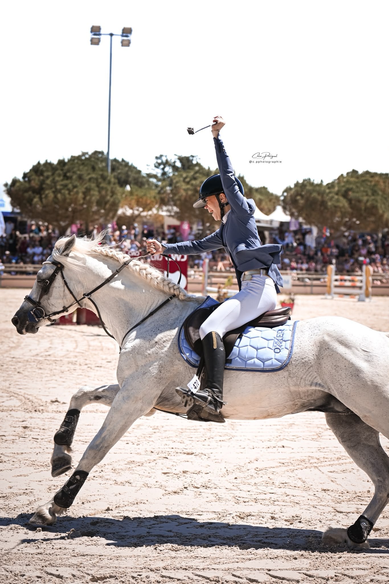 Cheval gris en concours, tapis de selle bleu ciel, cavalière saluant le public