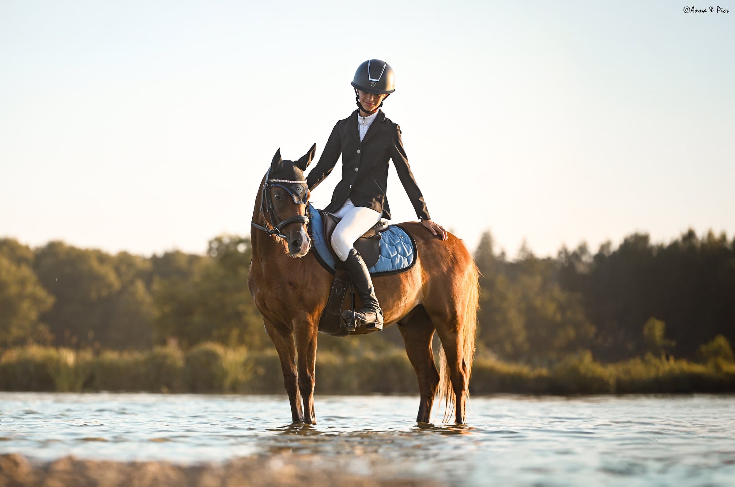Cavalière sur un cheval bai dans l'eau au couchant, tapis de selle bleu glacier