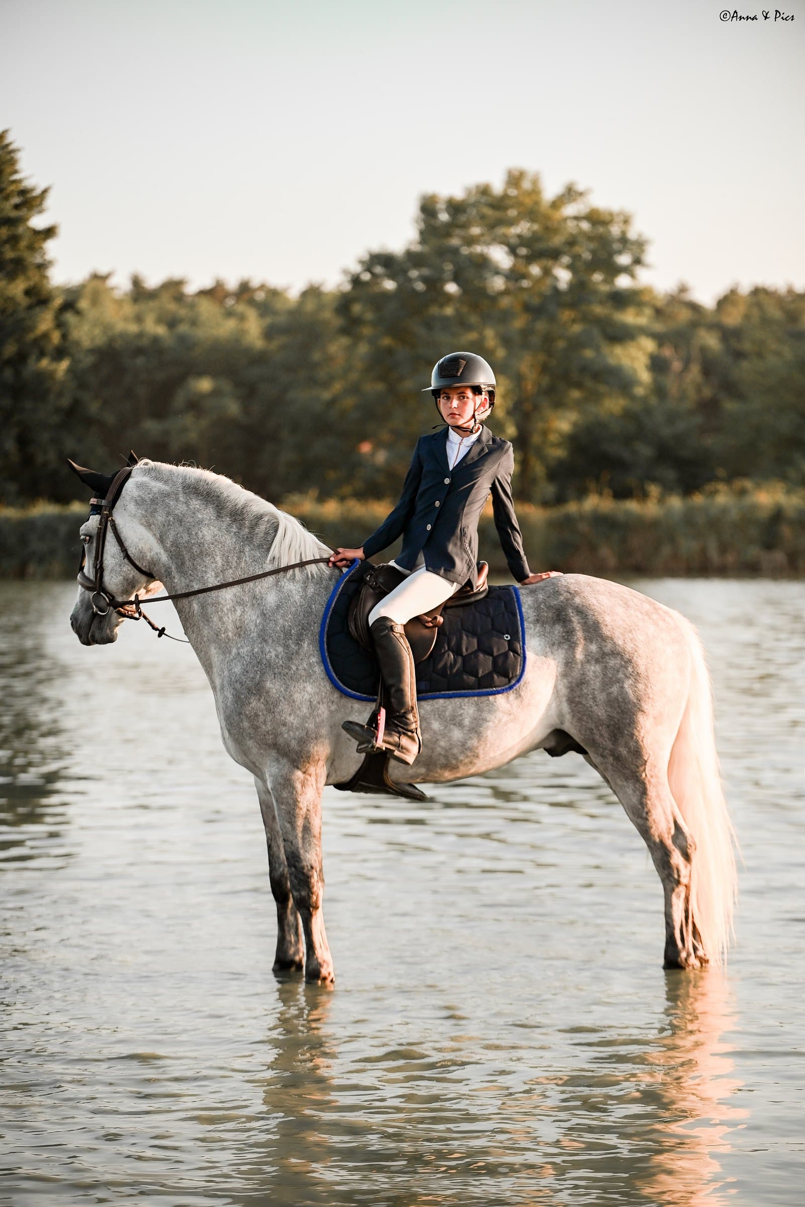 Cavalière à l'arrêt sur un cheval gris dans l'eau, tapis de selle noir