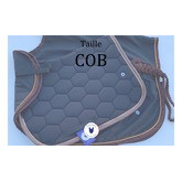 Taille COB