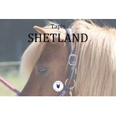 Tapis Shetland