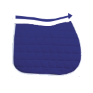 formes anatomiques